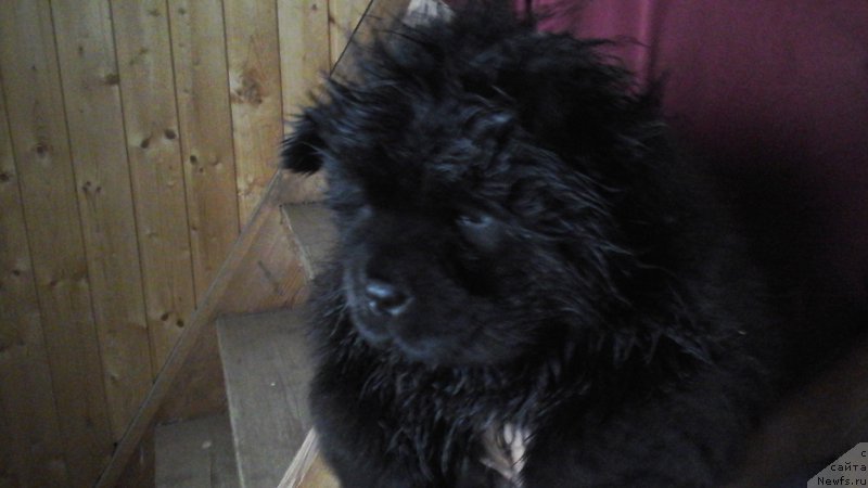 Фото: Зайка