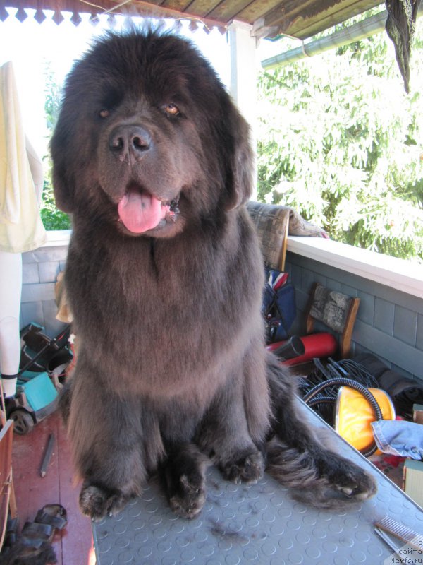 Фотография № 211160