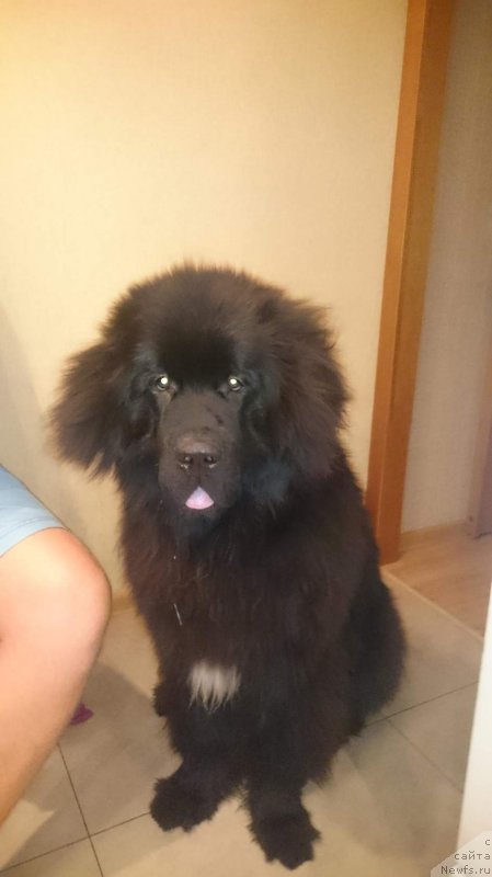 Фотография № 211162