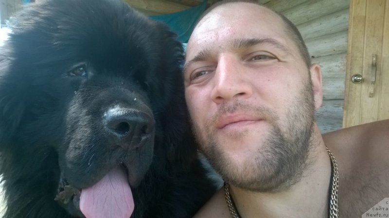 Фотография № 211166