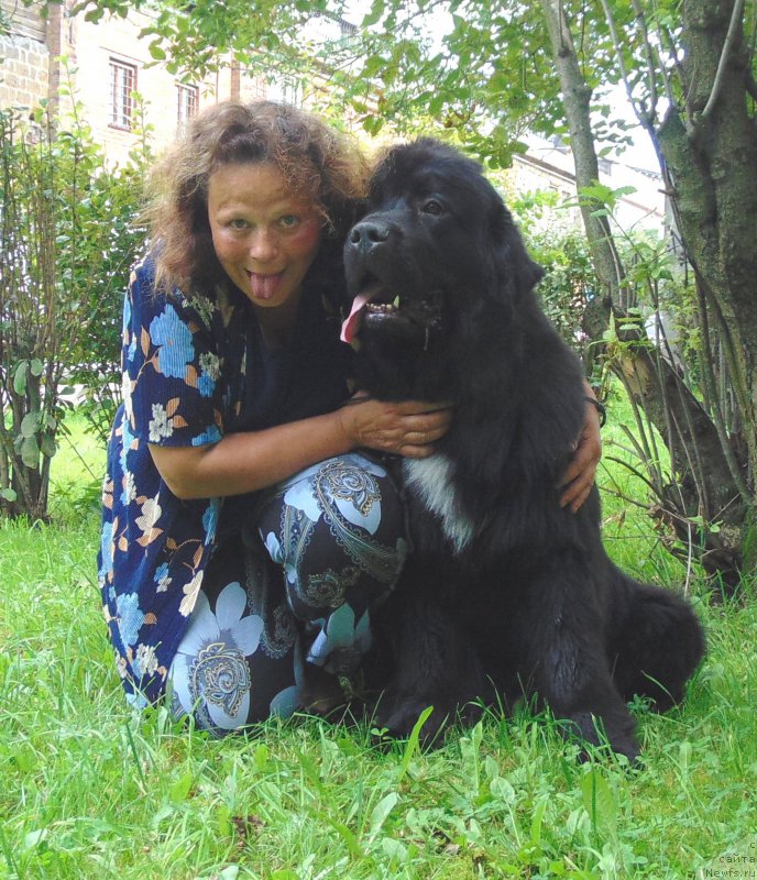 Фото: ньюфаундленд Treasure for Belkonder-Club Midnight Bear, Анна Ковалёва