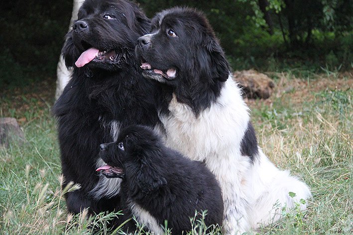 Фотография № 211187