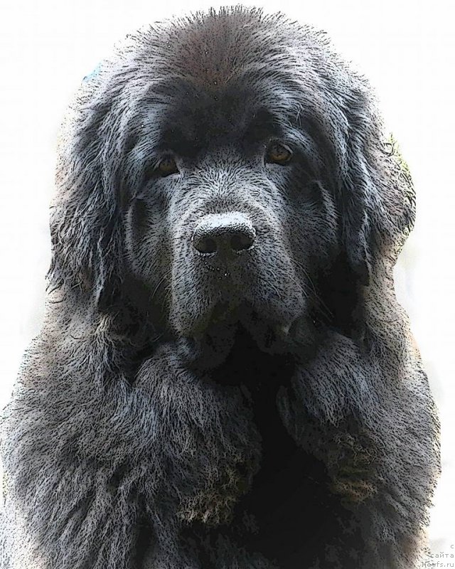 Фотография № 211190