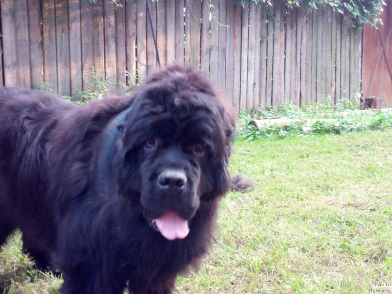 Фотография № 211195