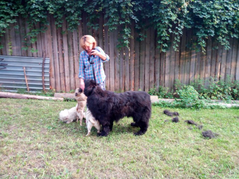 Фотография № 211196