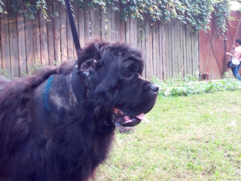 Фотография № 211197