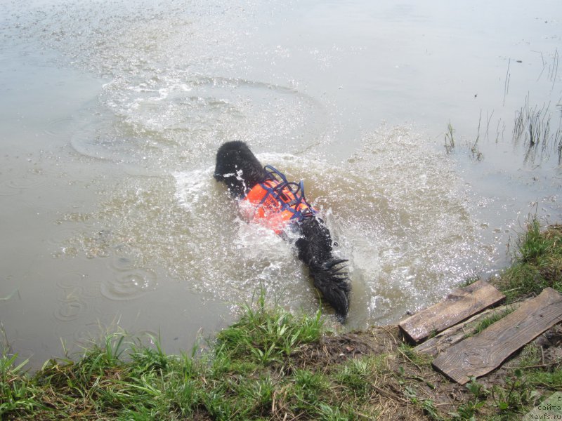 Фото: Наталья Смазчикова
