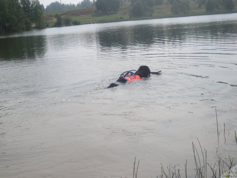 Фото: Наталья Смазчикова