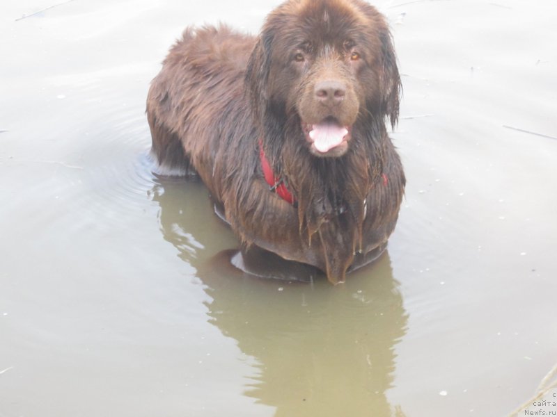 Фотография № 211271