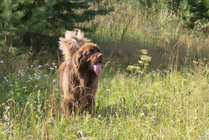 Фотография № 211283