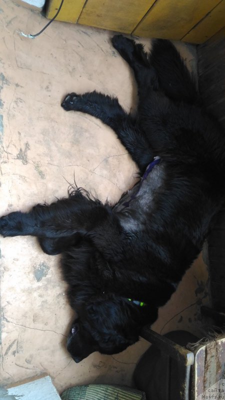 Фотография № 211285