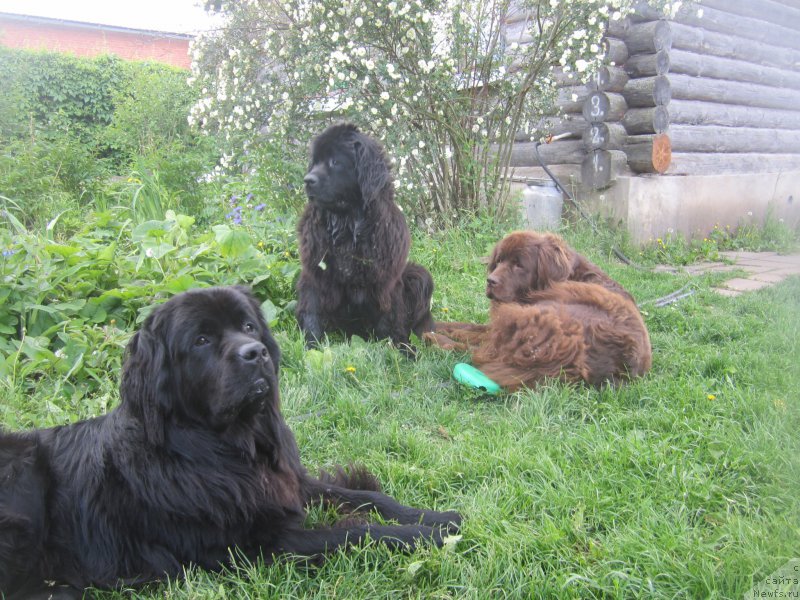 Фото: Наталья Смазчикова