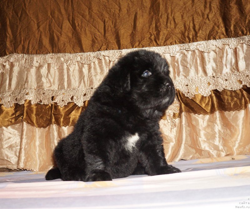 Фотография № 211297