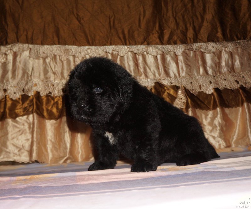 Фотография № 211299