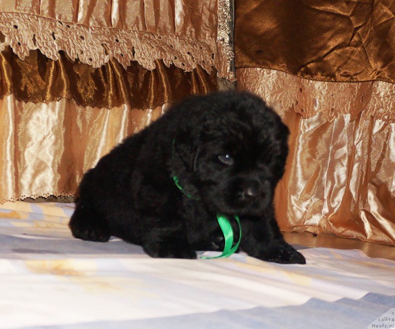 Фотография № 211305