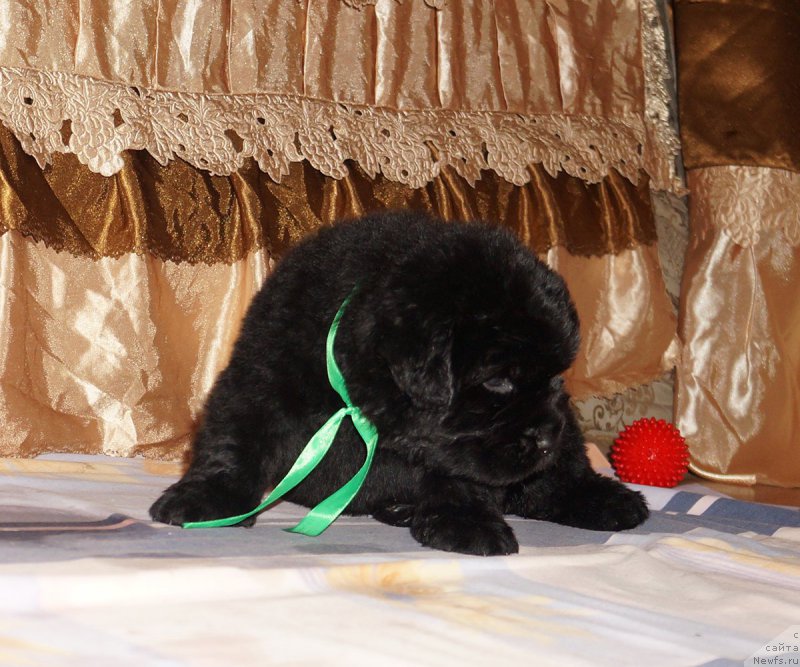 Фотография № 211307