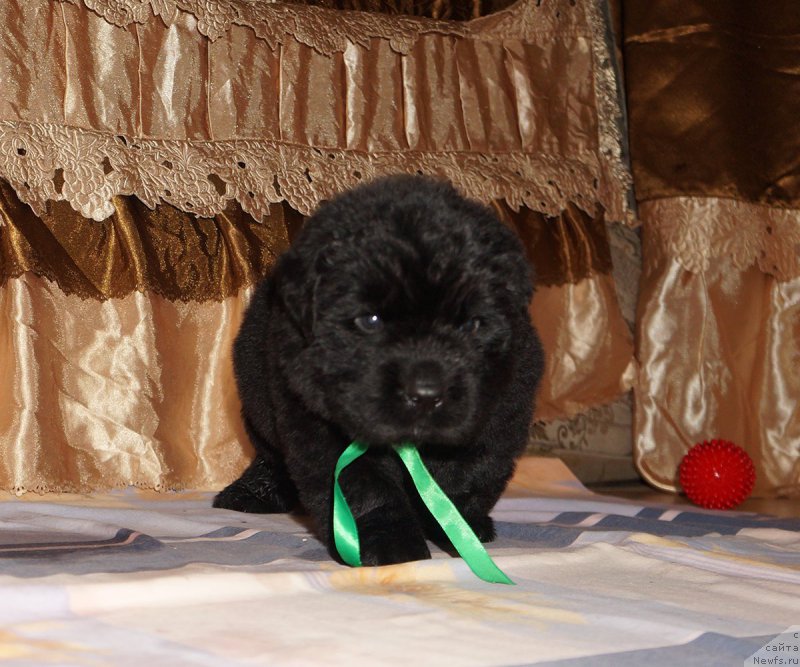 Фотография № 211309