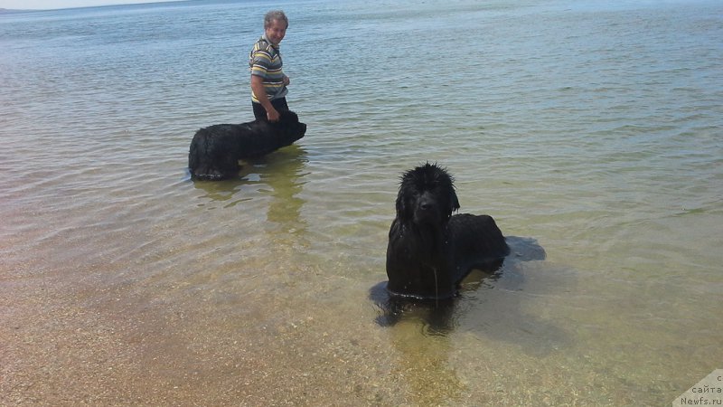 Фото: Наталья Смазчикова