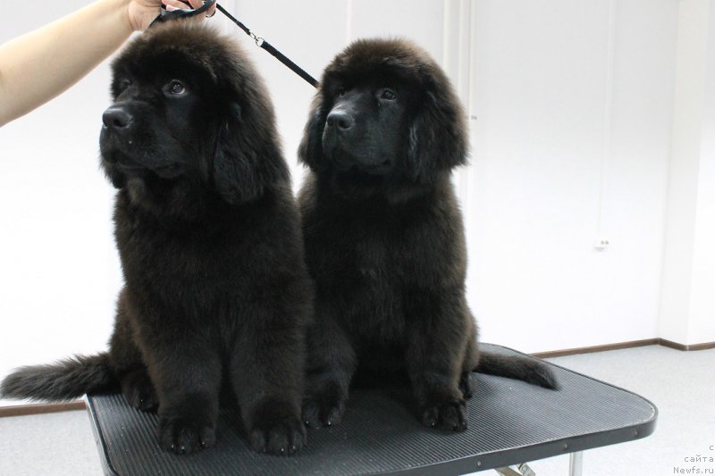 Фотография № 211341