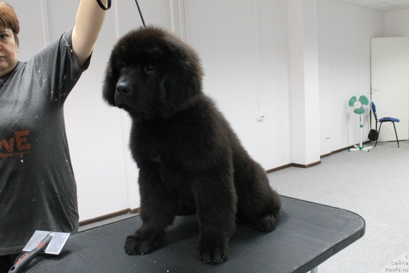 Фотография № 211344