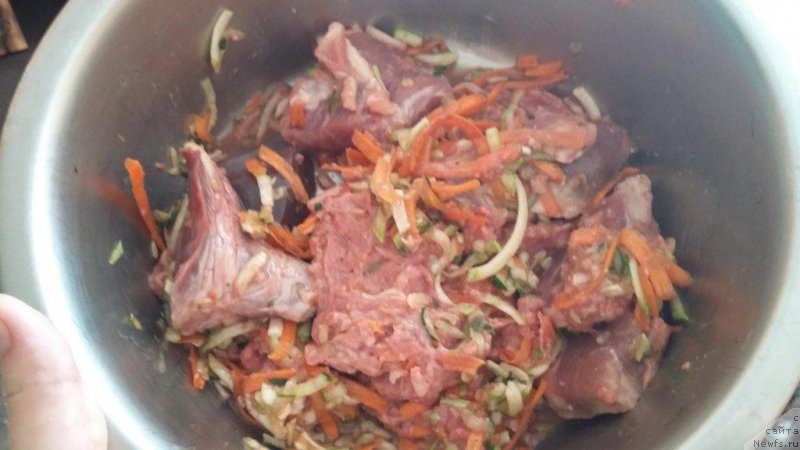 Фотография № 211396