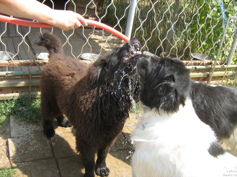 Фотография № 211399