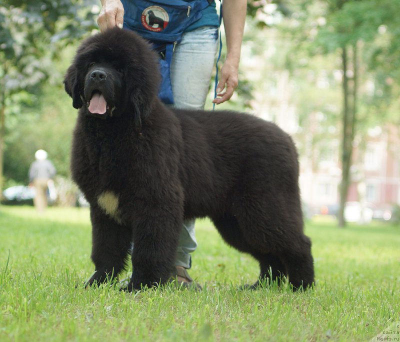 Фотография № 211403