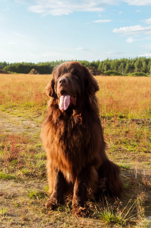 Фотография № 211411