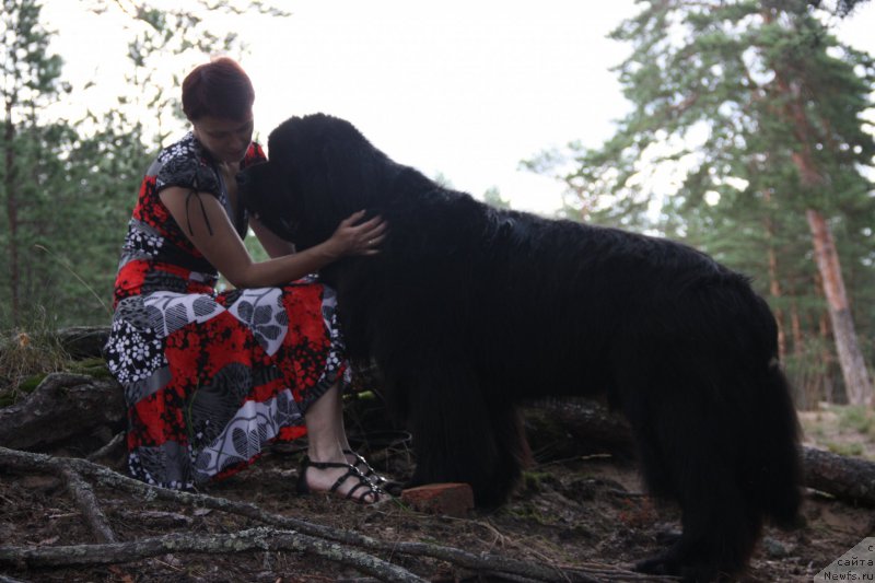 Фотография № 211426