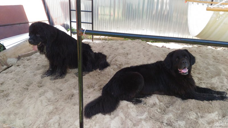 Фотография № 211464