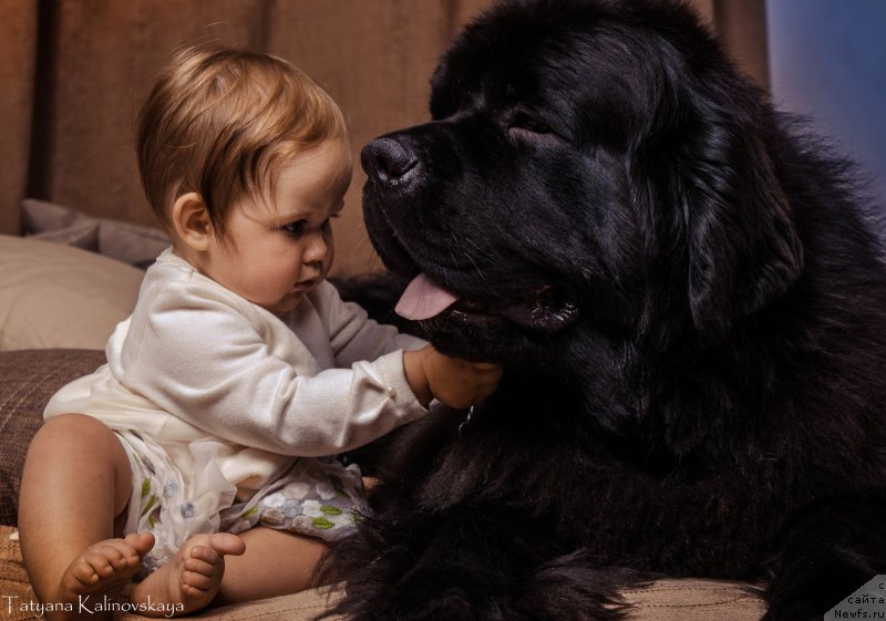 Фотография № 211467