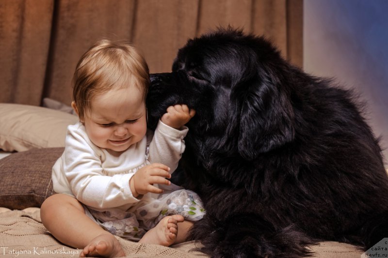 Фотография № 211468