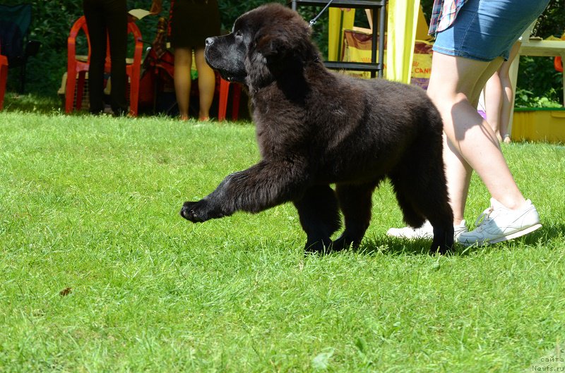 Фотография № 211485