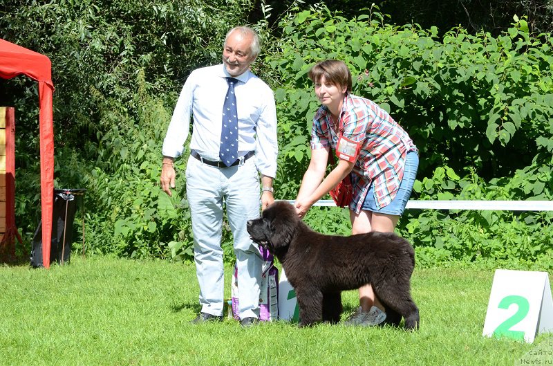 Фотография № 211486