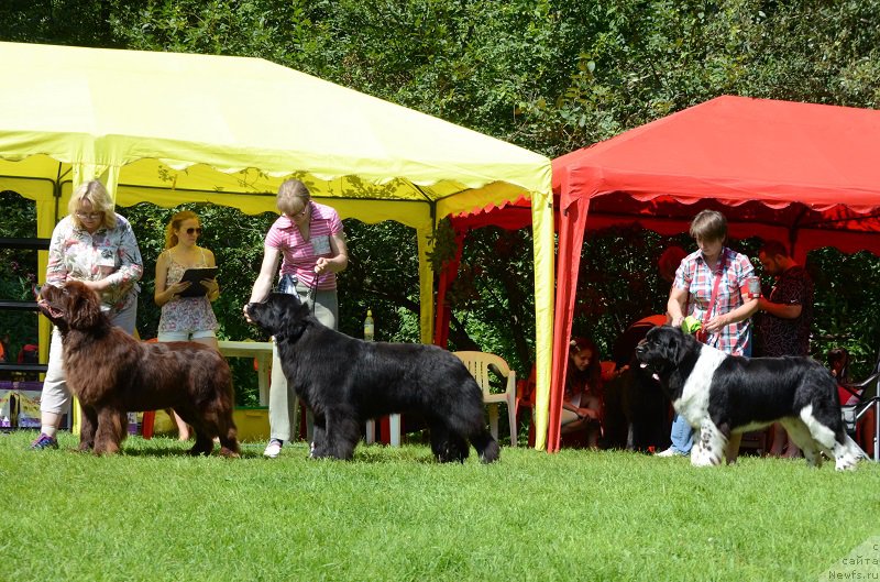 Фотография № 211488