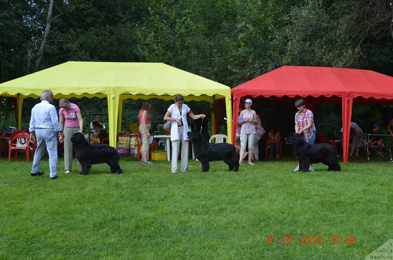 Фотография № 211491