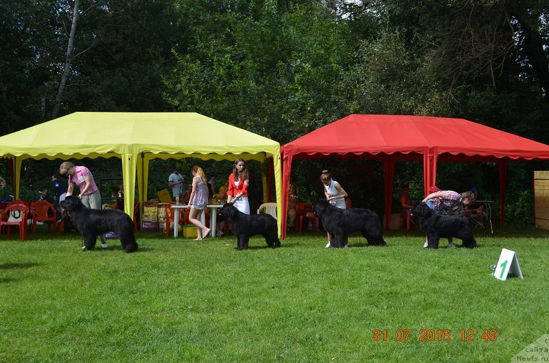 Фотография № 211492