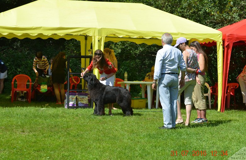 Фотография № 211493