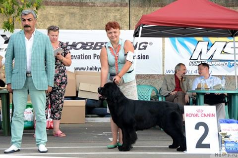 Фотография № 211495