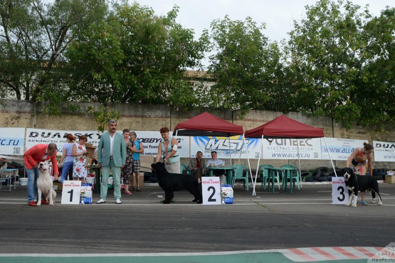 Фотография № 211496