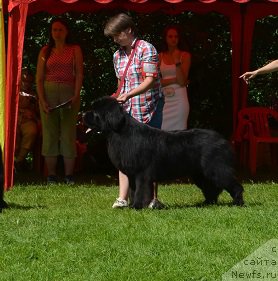 Фотография № 211497