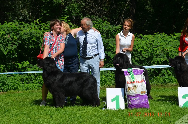 Фотография № 211504