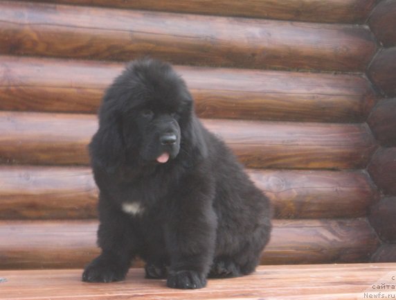 Фотография № 211506