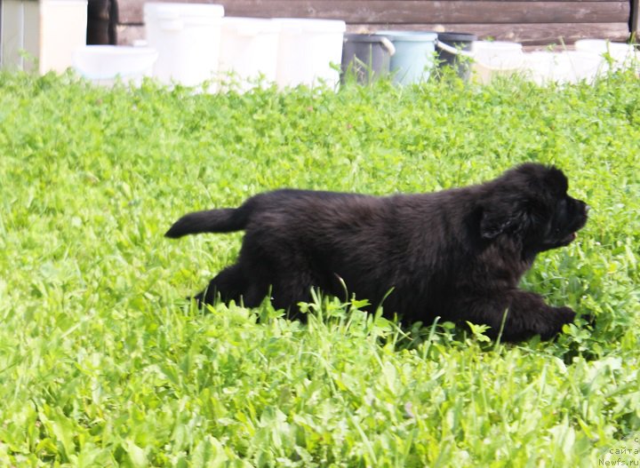 Фотография № 211509