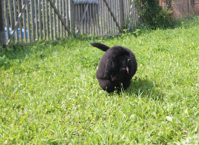 Фотография № 211510