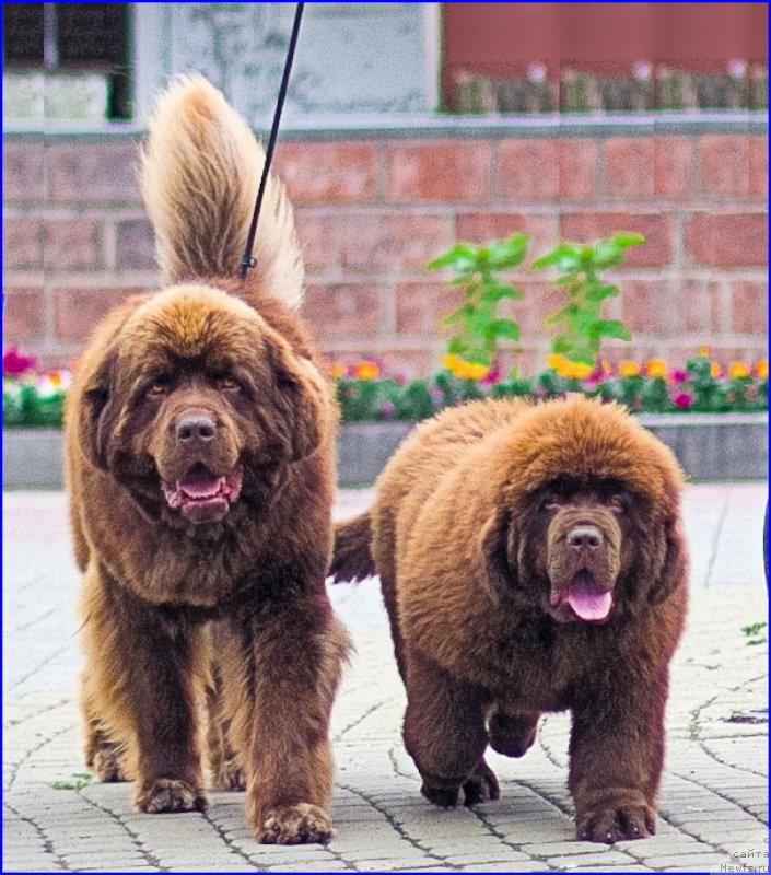 Фотография № 211529