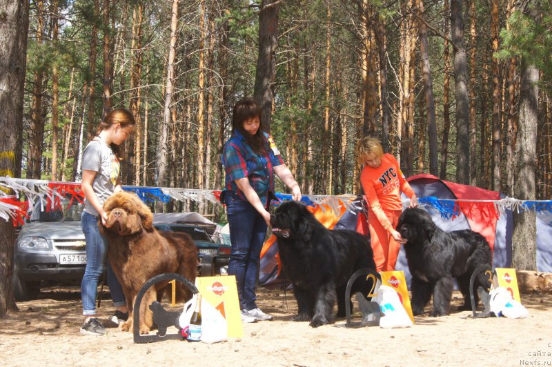 Фотография № 211560