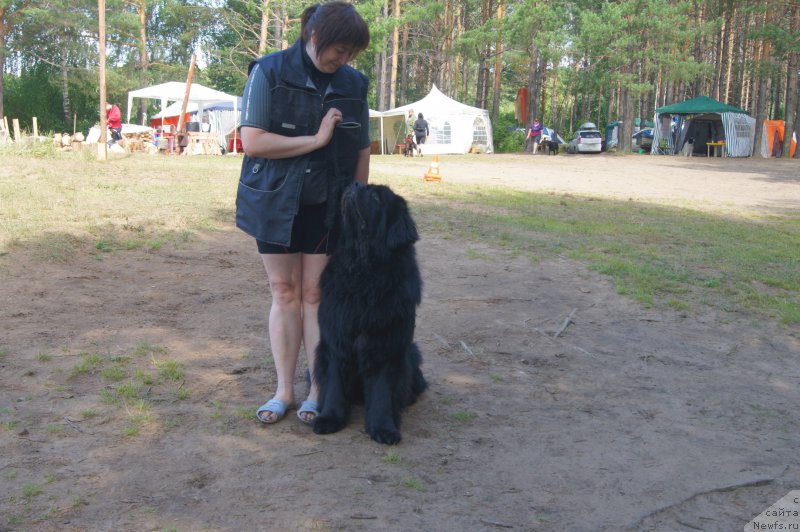 Фотография № 211561