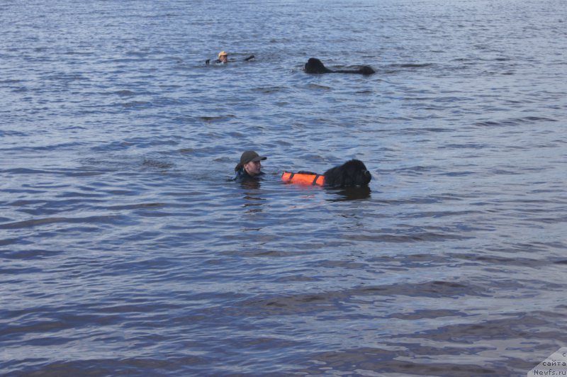 Фотография № 211566