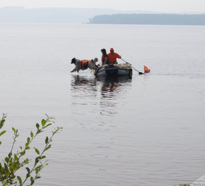 Фотография № 211568